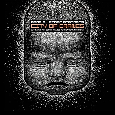 City of Cranes
