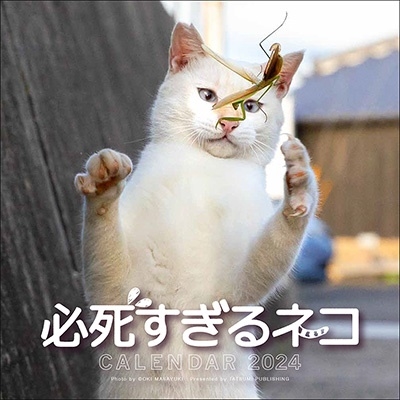 必死すぎるネコカレンダー 2024 必死すぎるネコカレンダー 2024