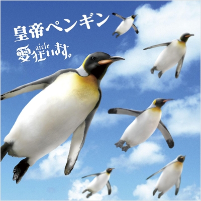 愛狂います。/皇帝ペンギン ［CD+DVD］＜初回限定盤＞