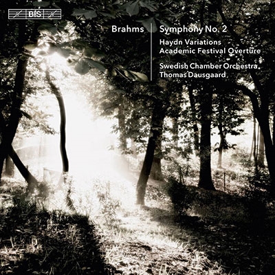 Brahms: Symphony No.2, Variations on a Theme By Joseph Haydn etc