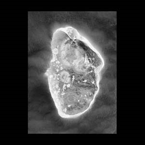 In Vitro＜限定盤＞