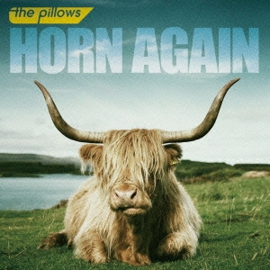 the pillows/HORN AGAIN̾ס[AVCD-38201]