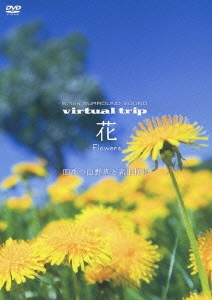 virtual trip 花 Flowers 四季の山野草と高山植物