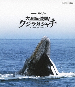 Amazon.co.jp: NHKスペシャル 大海原の決闘! クジラ対シャチ