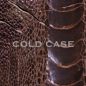 vistlip/COLD CASE CD+DVDϡ̾ס[MJSS-09161]