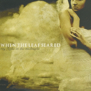 My Flight In The Midnight