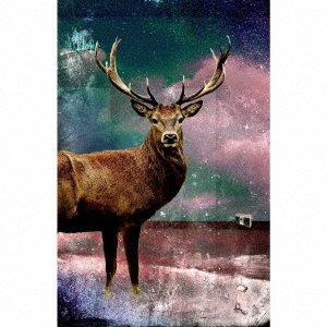 GATHER ONCE AGAIN WINTER＜限定盤＞