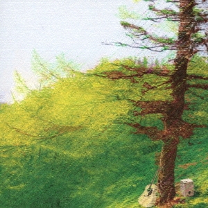 COLOR MATERIAL