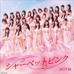NGT48/シャーベットピンク ［CD+DVD］＜TYPE-B＞[UPCH-80546]