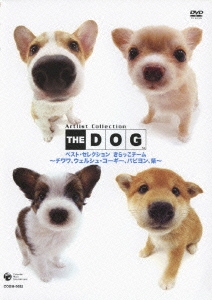 THE DOG ベスト・セレクション きらっこチーム ～チワワ、コーギー、パピオン、柴～