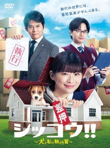 伊藤沙莉/シッコウ!!～犬と私と執行官～ DVD-BOX