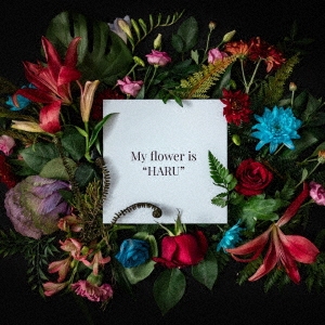 BOY MEETS HARU/My flower is 