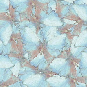 yeti let you notice CD3点セットの通販 by Kei ｜ラクマ
