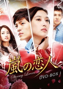 嵐の恋人 DVD-BOXI