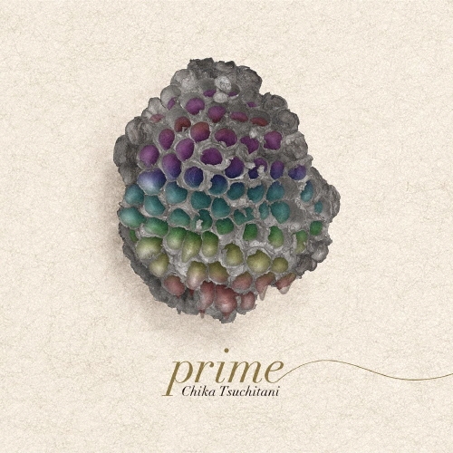 TOWER RECORDS ONLINE㤨ëβ/prime[MVSP-0005]פβǤʤ1,572ߤˤʤޤ