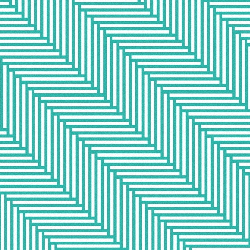 yuma yamaguchi/Dance Native[IRJP-0045]