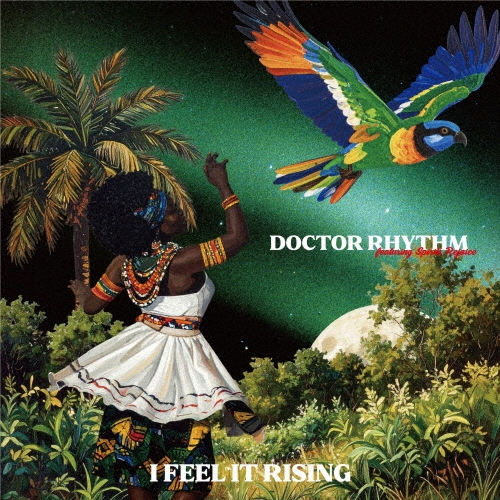 Doctor Rhythm/I Feel It Rising[HNGR4]