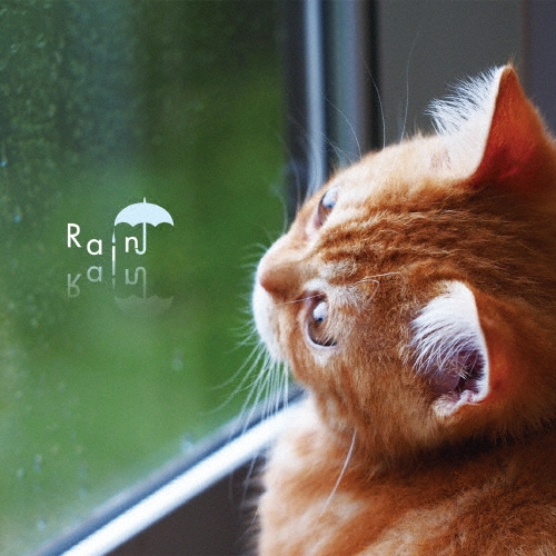 まるごと!雨の日