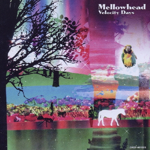 BEST「Velocity Days」