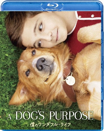 僕のワンダフル・ライフ