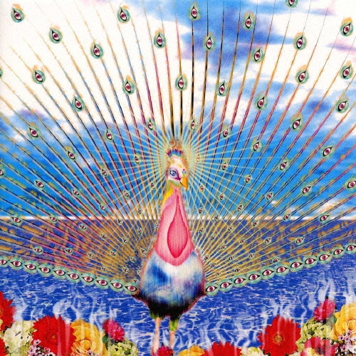 海象（セイウチ）