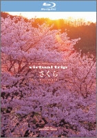 virtual trip さくら nostalgia