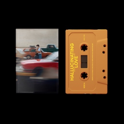 Hallucinating Love Hallucinating Love