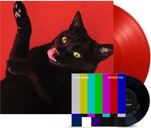 Ryan Adams/Big Colors LP+7inchϡRed Gold Vinyl[PAXAM636]