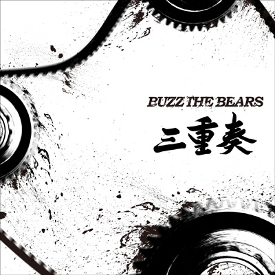 BUZZ THE BEARS/[IDSM-007]