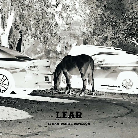 Lear