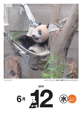 2019 日めくり! 毎日シャンシャン365日カレンダー