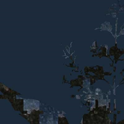 Vitex Negundo Re Worked & De Constructed