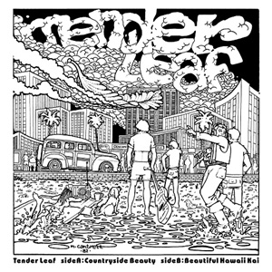 COUNTRYSIDE BEAUTY / BEAUTIFUL HAWAII KAI COUNTRYSIDE BEAUTY / BEAUTIFUL HAWAII KAI