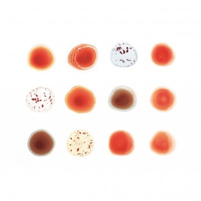 Scratch My Back/And I'll Scratch Yours