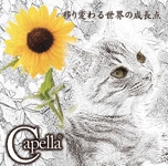 移り変わる世界の成長点 ［CD+DVD］＜限定盤＞