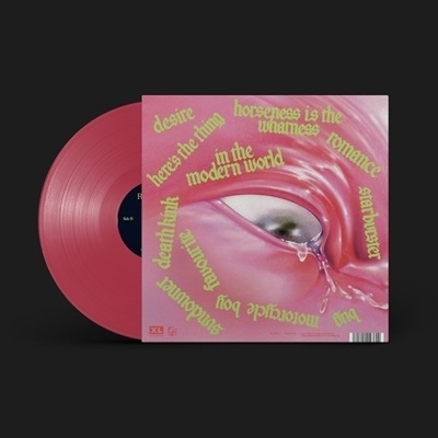 FONTAINES D.C. Romance 日本限定盤 LP レコード
