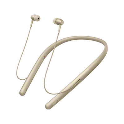 SONY ハイレゾ対応 イヤホン h.ear in 2 Wireless WI-H700 ペールゴールド