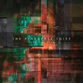 The Pineapple Thief/HOLD OUR FIRE[KSCOPE656J]