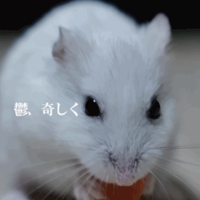 鬱、奇しく 鬱、奇しく