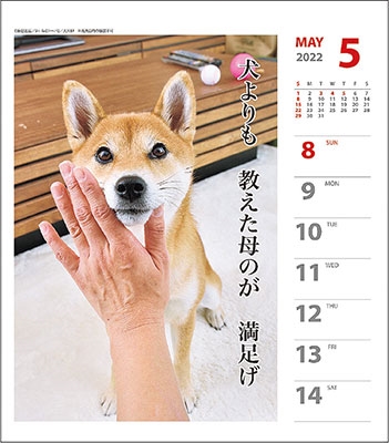 Dショッピング 犬川柳 週めくり カレンダー 22 Calendar カテゴリ 音楽 その他の販売できる商品 タワーレコード ドコモの通販サイト