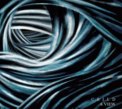 TOWER RECORDS ONLINE㤨Ceild/A view[SAOL194]פβǤʤ2,290ߤˤʤޤ