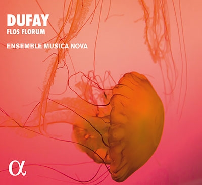 デュファイ: 「花の中の花」 デュファイ: 「花の中の花」