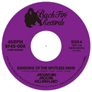 Sunshine of the Spotless Mind / K.I.T.T. - KNIGHT RIDER MAIN TITLE (DJ UPPERCUT REMIX)