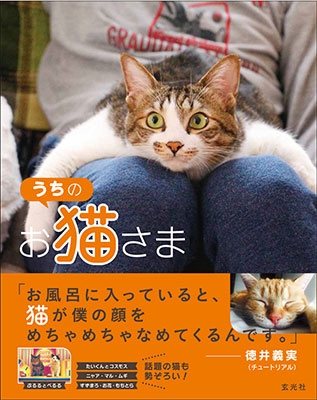 うちのお猫さま