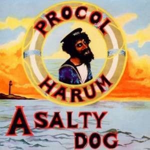 Procol Harum/A Salty Dog[ECLEC2504]