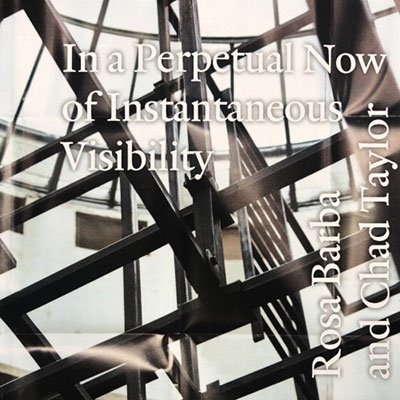 In A Perpetual Now Of Instantaneous Visibility<限定盤> In A Perpetual Now Of Instantaneous Visibility<限定盤>