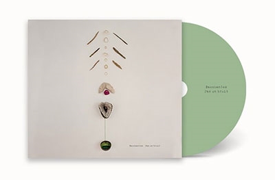 Bacchantes/Pas Un Bruit[FLR032]