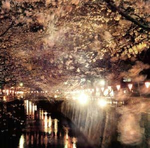 ENJOY THE SILENCE VOL.2<数量限定盤> ENJOY THE SILENCE VOL.2<数量限定盤>