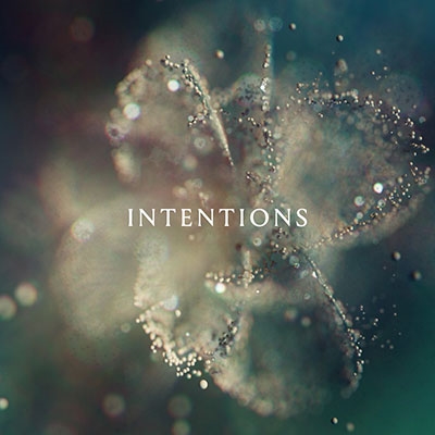 Anna/Intentions[4571274]