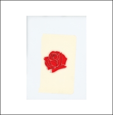 LANY 廃盤レコード LANY-